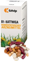 B1 KATTWIGA Tabletten