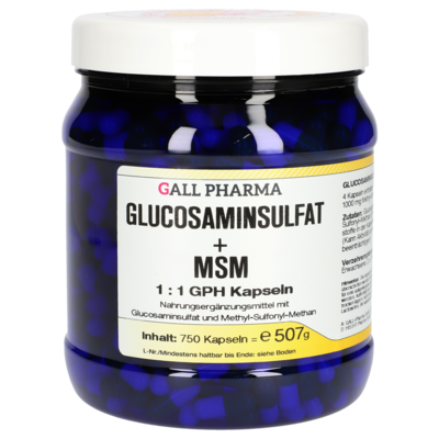 GLUCOSAMINSULFAT+MSM 1:1 GPH Kapseln
