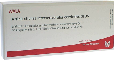 ARTICULATIONES intervertebral.cerv.GL D 5 Ampullen