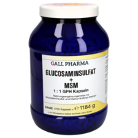 GLUCOSAMINSULFAT+MSM 1:1 GPH Kapseln