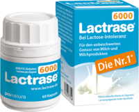 LACTRASE 6.000 FCC Kapseln