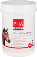 PHA Muskel & Leistung Pulver f.Pferde