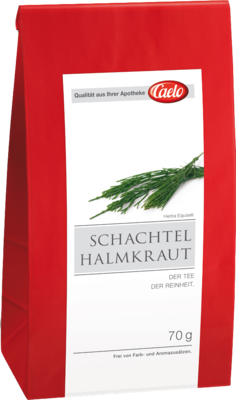 SCHACHTELHALMKRAUT Tee Caelo HV Packung