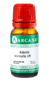 ADONIS VERNALIS LM 11 Dilution