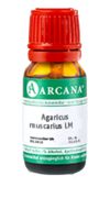 AGARICUS MUSCARIUS LM 120 Dilution