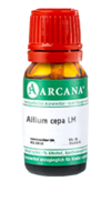 ALLIUM CEPA LM 23 Dilution