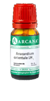 ANACARDIUM ORIENTALE LM 28 Dilution