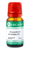 ANACARDIUM ORIENTALE LM 110 Dilution