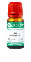 APIS MELLIFICA LM 110 Dilution