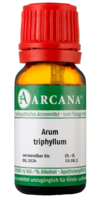 ARUM TRIPHYLLUM LM 19 Dilution