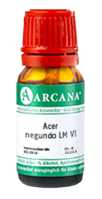 ACER negundo LM 6 Dilution