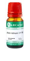 ADONIDINUM LM 6 Dilution