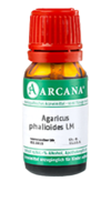 AGARICUS PHALLOIDES LM 110 Dilution