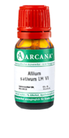 ALLIUM SATIVUM LM 6 Dilution