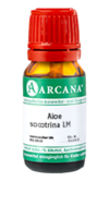 ALOE SOCOTRINA LM 10 Dilution