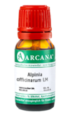 ALPINIA OFFICINARUM LM 29 Dilution