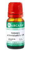 AMBROSIA ARTEMISIAEFOLIA LM 11 Dilution