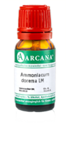 AMMONIACUM dorema LM 12 Dilution