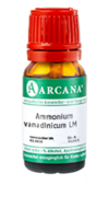 AMMONIUM VANADINICUM LM 120 Dilution