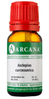 ASCLEPIAS CURRASSAVICA LM 4 Dilution