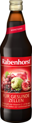 RABENHORST für gesunde Zellen Saft