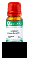 ANETHUM graveolens LM 4 Dilution
