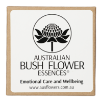 ADULT Angel Pendant clear glass