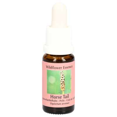 ACKERSCHACHTELHALM Essenz Tropfen