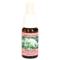 BÄRLAUCH ESSENZ Tropfen