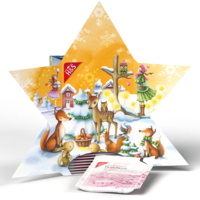 H&S Adventskalender Stern Filterbeutel